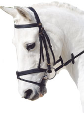 cheval