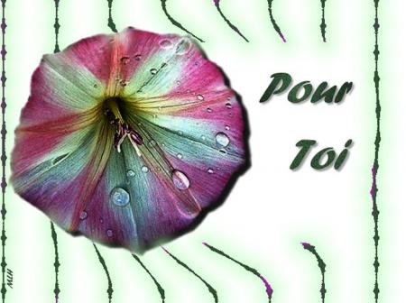 pour toi