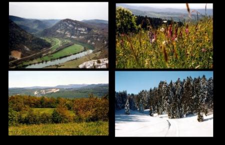 les quatre saisons