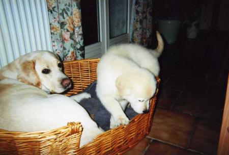 Rêva et Maya